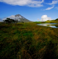 Governo dos Açores inicia quarta-feira visita estatutária à ilha do Pico