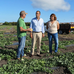 Proposta de POSEI 2019 é um bom incentivo ao crescimento da produção de meloa em Santa Maria, afirma João Ponte