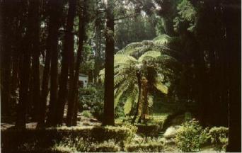 Reserva Florestal de Recreio das Fontinhas