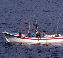 Licenças da pesca na Região com novos critérios de renovação