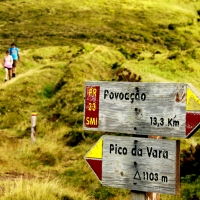 Governo dos Açores renova Carta Europeia de Turismo Sustentável das Terras do Priolo