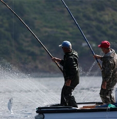 Governo dos Açores defende em Bruxelas quota do goraz e pesca de atum com salto e vara