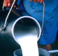 Serviço de contraste leiteiro está assegurado em todas as ilhas dos Açores