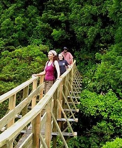 Ponte sobre a Levada - Parque Natural do Faial