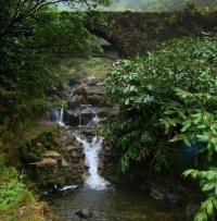 Novo Plano de Gestão da Região Hidrográfica dos Açores aberto à participação pública