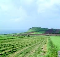 Açores são a região do país com melhores indicadores na agricultura