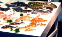 Imagem alusiva a pescado dos Açores