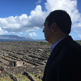 Governo dos Açores congratula-se com alargamento do seguro vitícola de colheita aos Açores