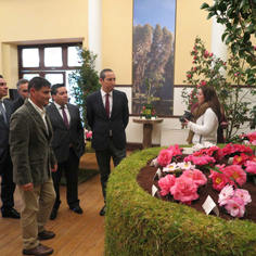 João Ponte realça importância da Exposição de Camélias das Furnas para a promoção da floricultura açoriana