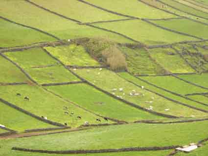 IROA in charge of co-ordinating and managing incentives for the purchase of agricultural land