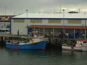 Ponta Delgada's fish market