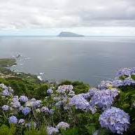 Instalação do Cabo de Fibra Óptica nas Flores e Corvo é para avançar