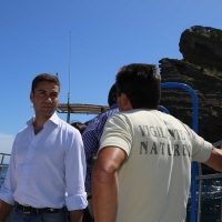 Governo dos Açores assinala Dia Mundial dos Oceanos com campanha de monitorização de aves marinhas