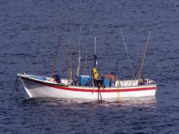 Governo dos Açores integra projeto europeu experimental na área das pescas