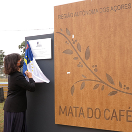 Governo dos Açores devolve à Mata do Café “a dignidade que o espaço merece”, afirma Ana Cunha