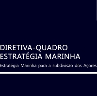 Governo dos Açores lidera plano de ação para implementação da Diretiva-Quadro Estratégia Marinha na Macaronésia