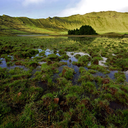 Governo dos Açores assinala Dia Mundial das Zonas Húmidas em todas as ilhas do arquipélago