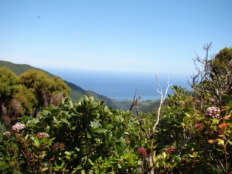 Reserva Natural do Pico da Vara - Povoação, S. Miguel