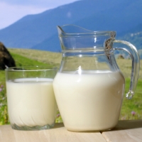 Governo dos Açores investe 210 mil euros em equipamento para classificação do leite