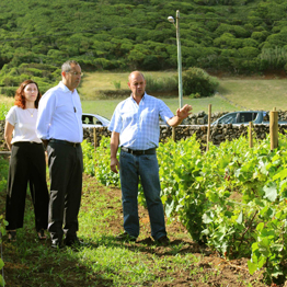 João Ponte destaca trabalho que tem sido feito na recuperação de vinhas e na produção de vinhos de excelência