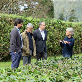 A experimentação é fundamental para o desenvolvimento da agricultura nos Açores, afirma João Ponte