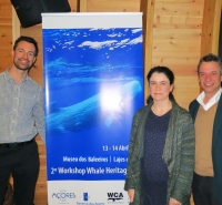 Açores podem ser a primeira região do mundo a receber eco-galardão Whale Heritage Site