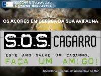 Visualizar o relatório dea campanha SOS Cagarro 2010