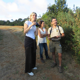 Campanha de monitorização da Estrelinha de Santa Maria é “fundamental” para elaborar um plano de ação para a conservação da espécie, afirma Marta Guerreiro