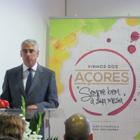 Luís Neto Viveiros afirma que acreditação da CVRAçores valoriza a produção de vinha e de vinho