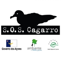 Campanha SOS Cagarro 2017 decorre nos Açores até 15 de novembro