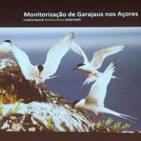 Açores têm responsabilidade especial na conservação da biodiversidade de aves marinhas, afirma Brito e Abreu