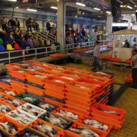 Preços de venda em lota nos principais portos dos Açores divulgados via rádio VHF