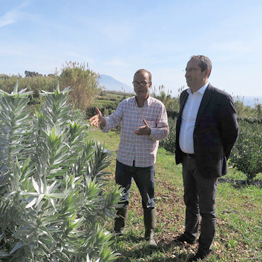 João Ponte afirma que a ilha do Faial é um bom exemplo da aposta na diversificação agrícola