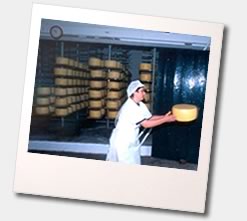 Photo of a São Jorge cheese factory